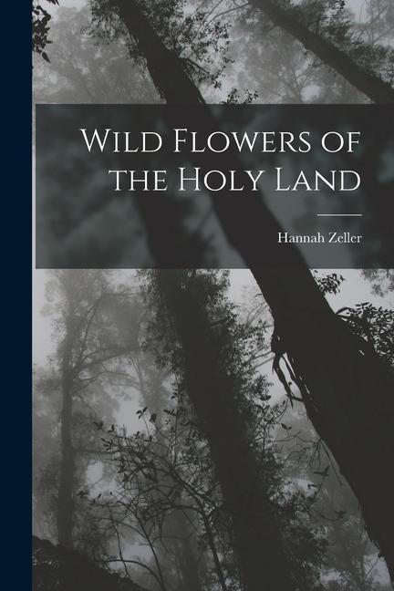 Könyv Wild Flowers of the Holy Land 