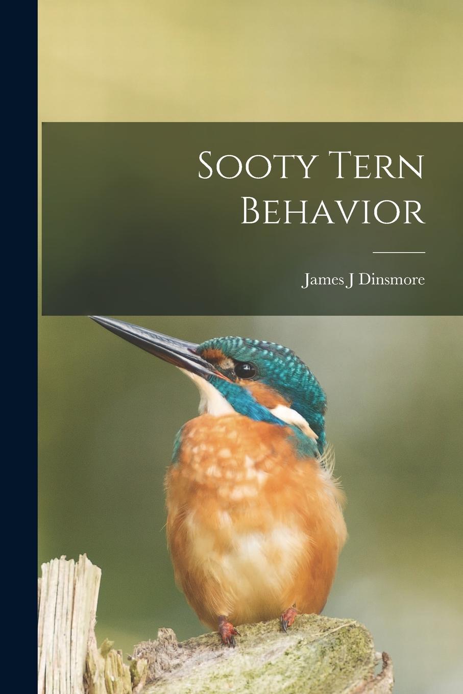 Knjiga Sooty Tern Behavior James J Dinsmore