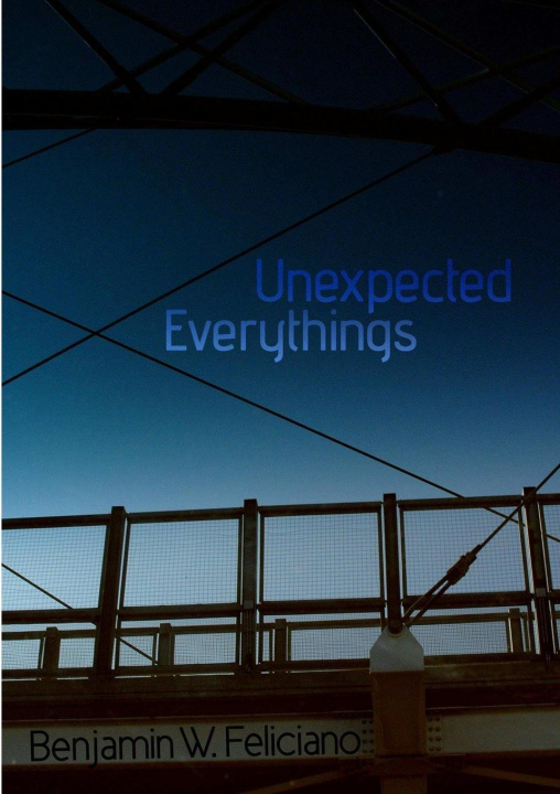 Knjiga Unexpected Everythings Benjamin Feliciano