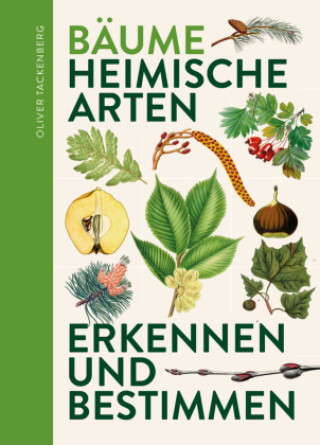 Boek Bäume Oliver Tackenberg