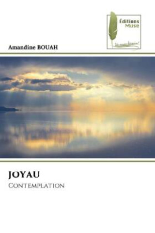 Buch JOYAU Amandine BOUAH