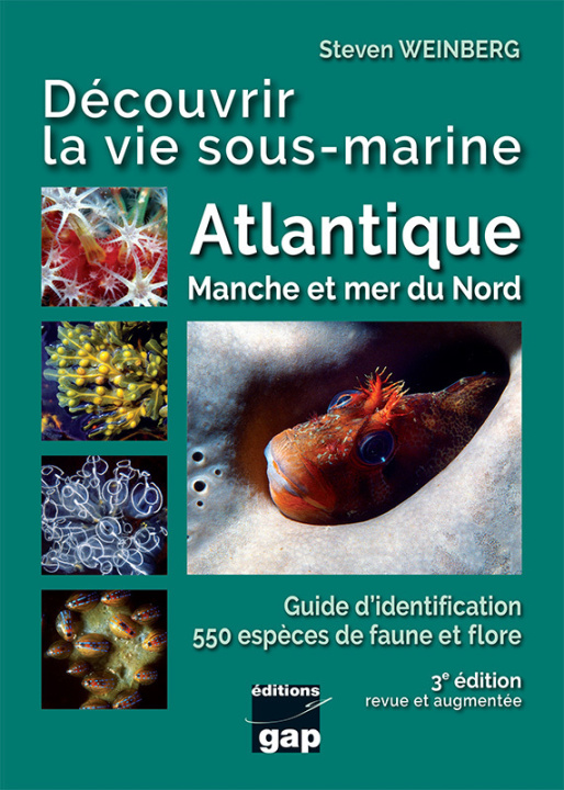 Carte Découvrir la vie sous-marine Atlantique, Manche et mer du Nord - 3ème édition WEINBERG