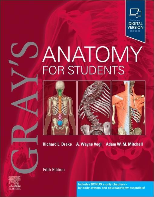 Książka Gray's Anatomy for Students Richard L. Drake