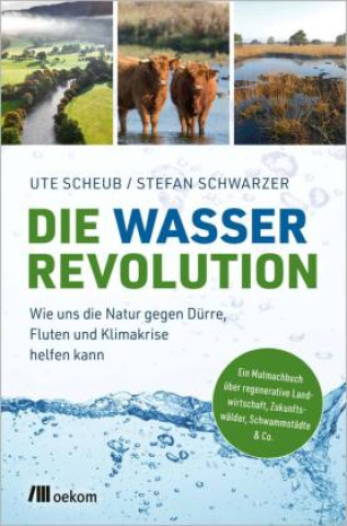 Kniha Die Wasserrevolution Stefan Schwarzer