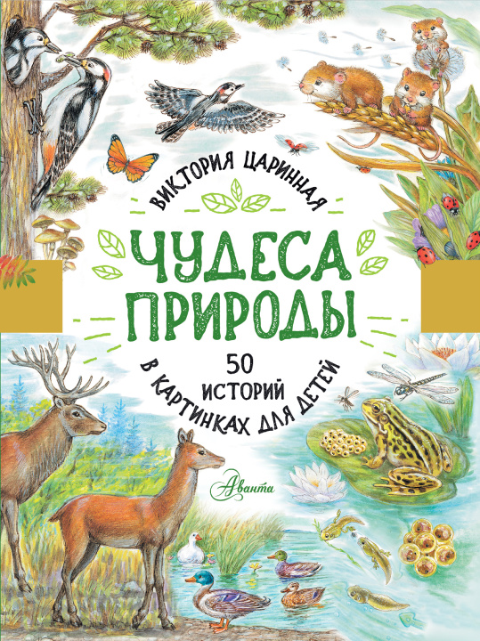 Kniha Чудеса природы. 50 историй в картинках для детей В.А. Царинная
