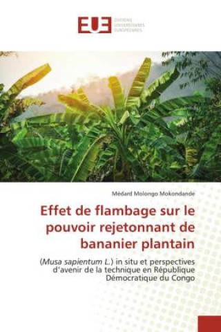 Kniha Effet de flambage sur le pouvoir rejetonnant de bananier plantain Médard Molongo Mokondande