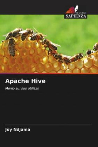 Knjiga Apache Hive Joy Ndjama
