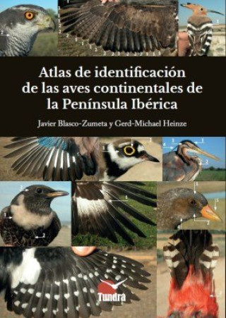 Книга ATLAS DE IDENTIFICACION DE LAS AVES CONTINENTALES PENINSULA JAVIER BLASCO