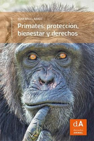 Kniha PRIMATES PROTECCION BIENESTAR Y DERECHOS BRULL BARCO