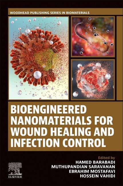 Kniha Bioengineered Nanomaterials for Wound Healing and Infection Control Hamed Barabadi