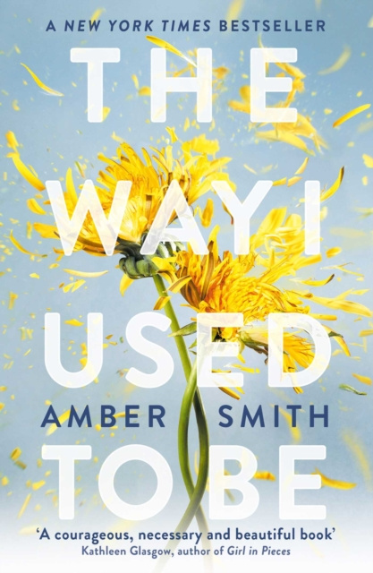 E-kniha Way I Used to Be Amber Smith