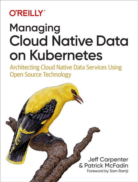 E-book Managing Cloud Native Data on Kubernetes Jeff Carpenter