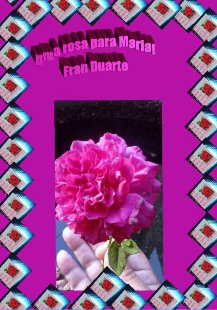 E-kniha rosa para Maria Fran Duarte
