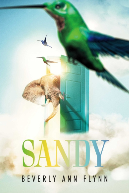 E-knjiga Sandy Beverly Flynn