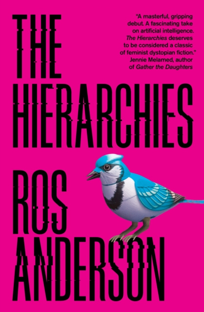 E-kniha Hierarchies Ros Anderson