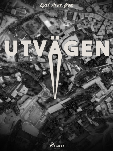 E-knjiga Utvagen Karl Arne Blom