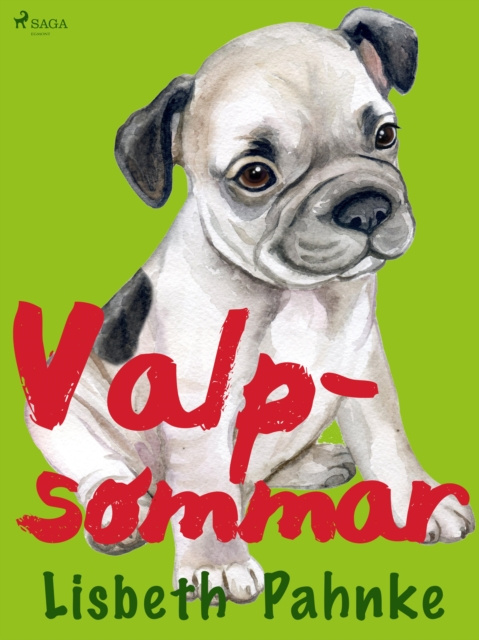E-book Valpsommar Lisbeth Pahnke