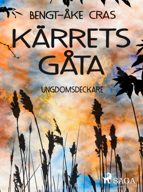 E-knjiga Karrets gata Bengt-Ake Cras