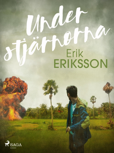 E-book Under stjarnorna Erik Eriksson
