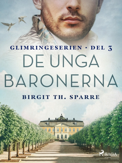 E-knjiga De unga baronerna Birgit Th. Sparre