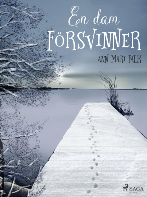 E-book En dam forsvinner Ann Mari Falk