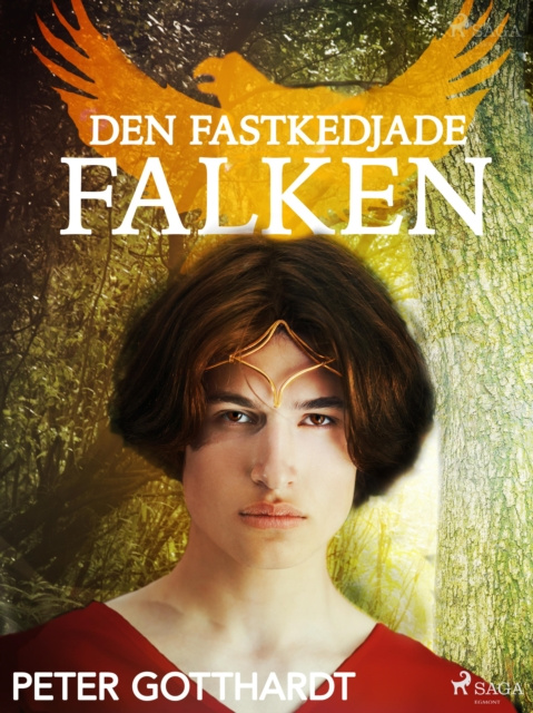 E-book Den magiska falken 2: Den fastkedjade falken Peter Gotthardt