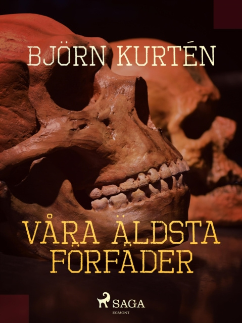 E-kniha Vara aldsta forfader Bjorn Kurten