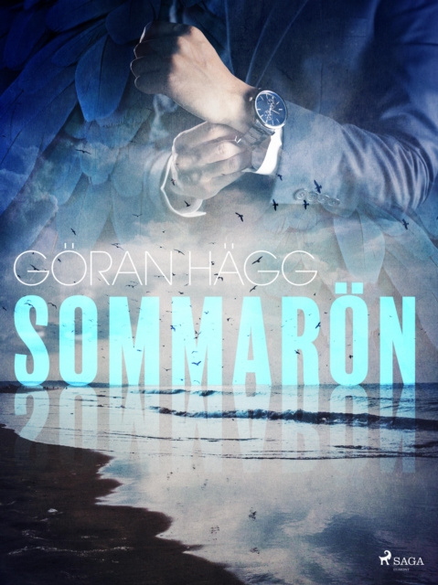 E-Book Sommaron Goran Hagg