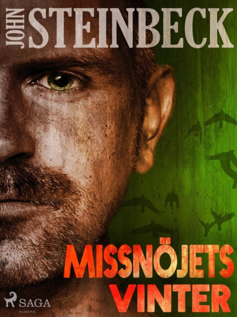 E-book Missnojets vinter John Steinbeck