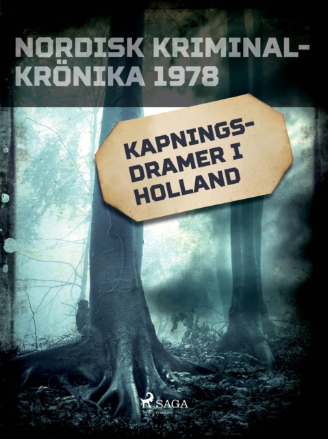 E-book Kapningsdramer i Holland Diverse