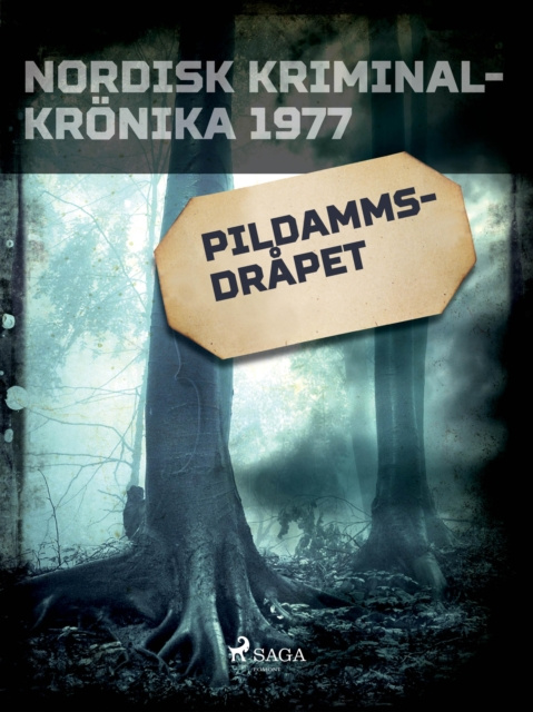 E-book Pildammsdrapet Diverse
