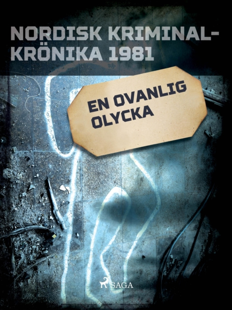 E-knjiga En ovanlig olycka Diverse