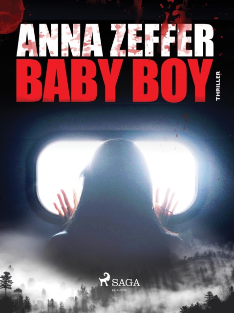 E-book Baby Boy Anna Zeffer