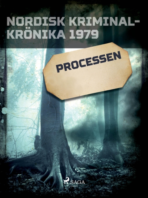 E-knjiga Processen Diverse