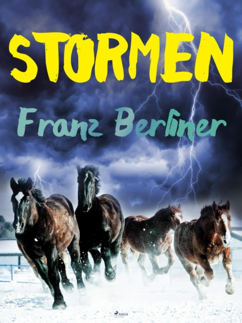 E-knjiga Stormen Franz Berliner