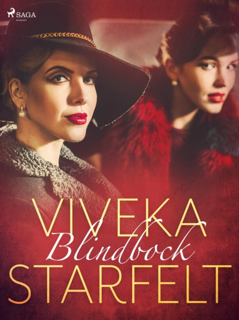 E-knjiga Blindbock Viveka Starfelt