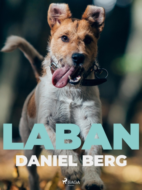 E-knjiga Laban Daniel Berg