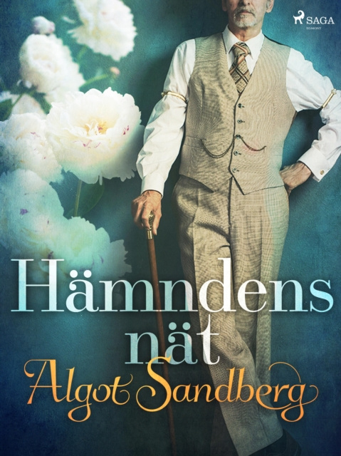 E-knjiga Hamndens nat Algot Sandberg
