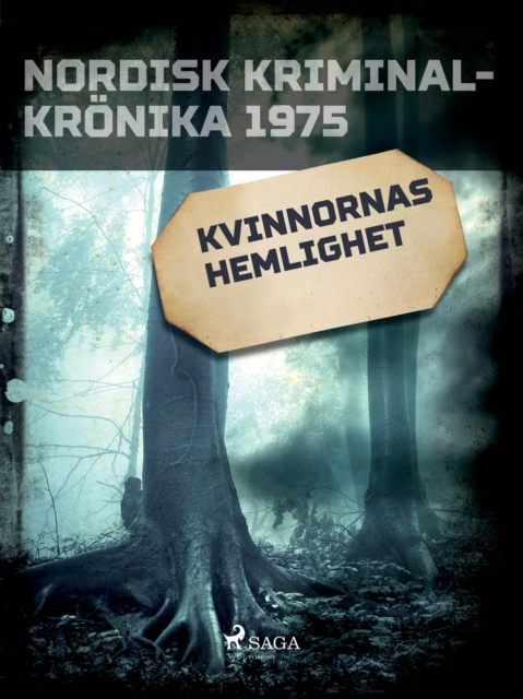 E-knjiga Kvinnornas hemlighet Diverse