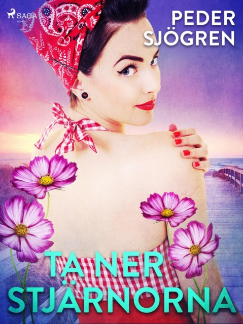 E-book Ta ner stjarnorna Peder Sjogren