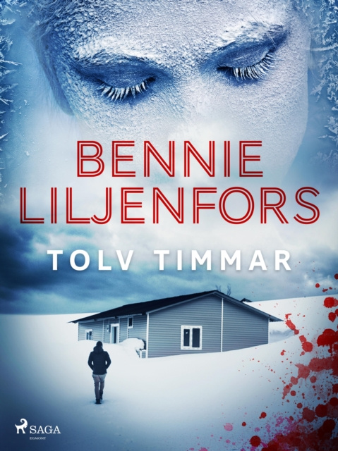 E-knjiga Tolv timmar Bennie Liljenfors