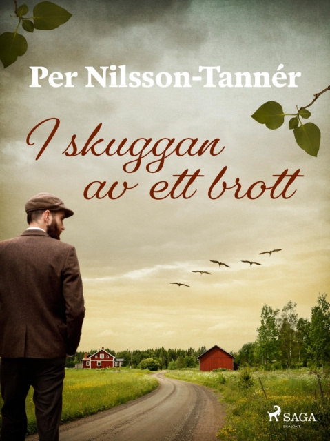 E-knjiga I skuggan av ett brott Per Nilsson-Tanner