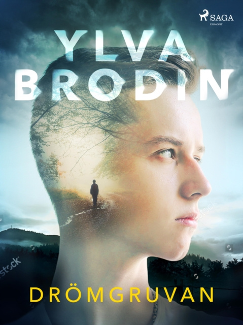 E-book Dromgruvan Ylva Brodin