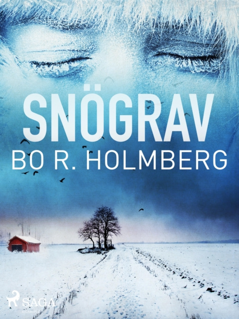 E-knjiga Snograv Bo R. Holmberg
