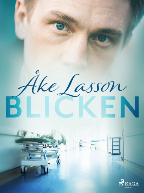 E-book Blicken Ake Lasson