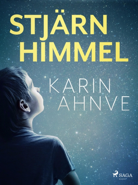 E-knjiga Stjarnhimmel Karin Ahnve