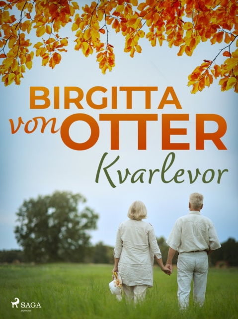 E-knjiga Kvarlevor Birgitta von Otter