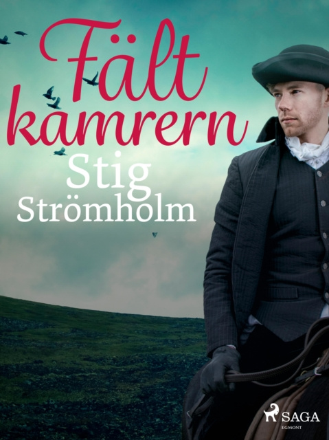E-knjiga Faltkamrern Stig Stromholm