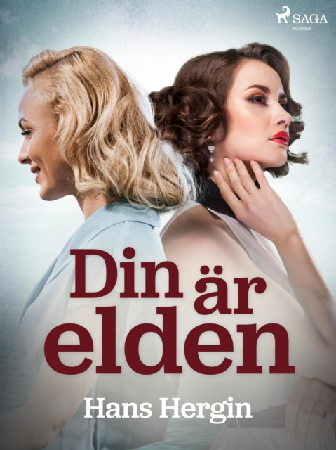 E-knjiga Din ar elden Hans Hergin