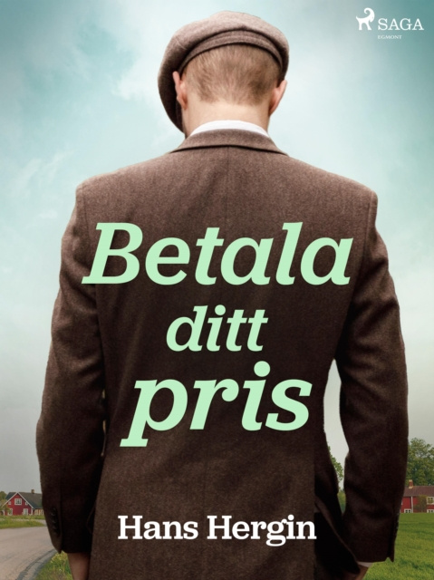 E-knjiga Betala ditt pris Hans Hergin